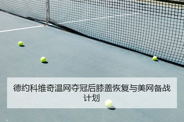 de-yue-ke-wei-qi-wen-wang-duo-guan-hou-xi-gai-hui-fu-yu-mei-wang-bei-zhan-ji-hua-2-407.jpg