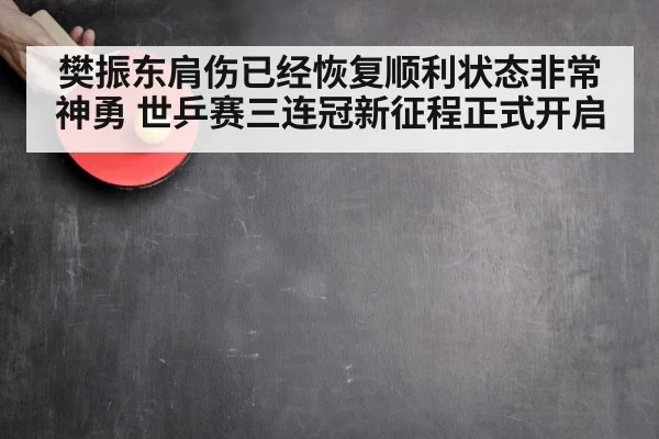 樊振东肩伤已经恢复顺利状态非常神勇 世乒赛三连冠新征程正式开启